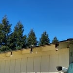 Remove gutter, cut out rotten wood