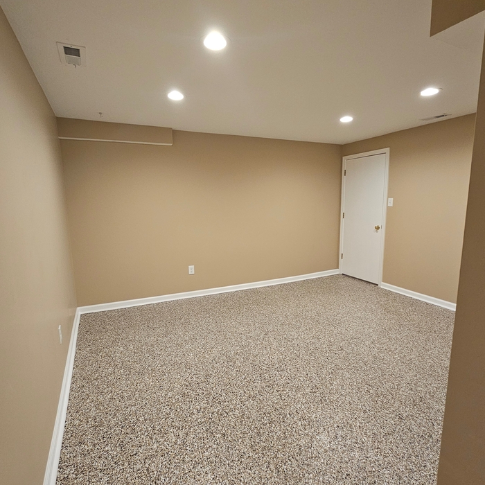 Basement Remodel