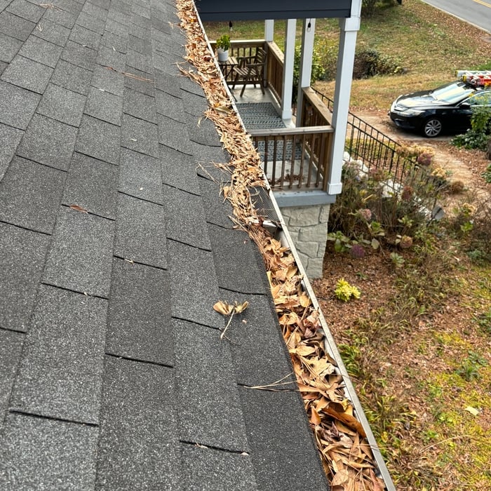 Gutter cleaning