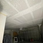 Water damage garage cealing