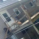 Deck Build