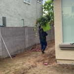 Additional Photos