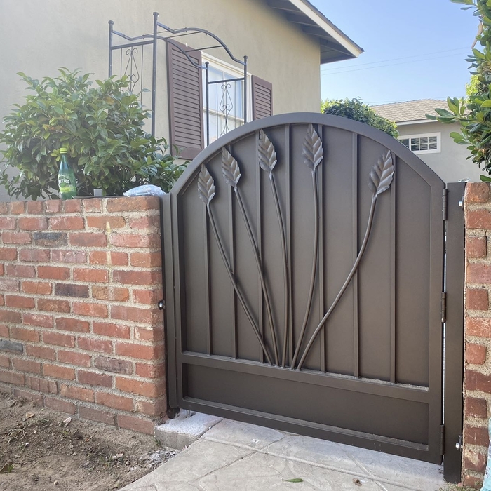 Backyard side gate