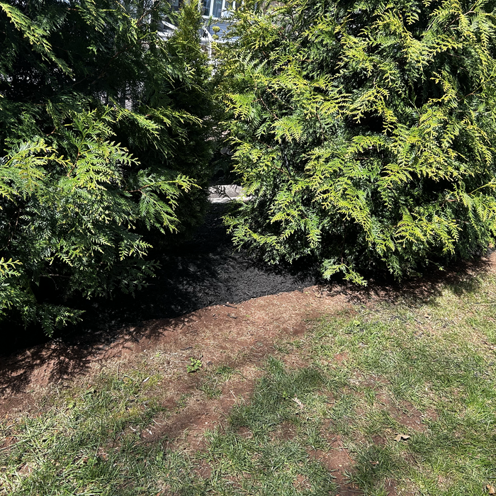Additional Photos
