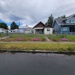 Landscaping Project