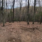 Landscaping Project