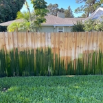 Build up on fence