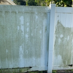 Before restoration