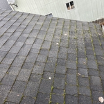 Roofing Project
