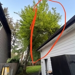 Tree trimming with lift