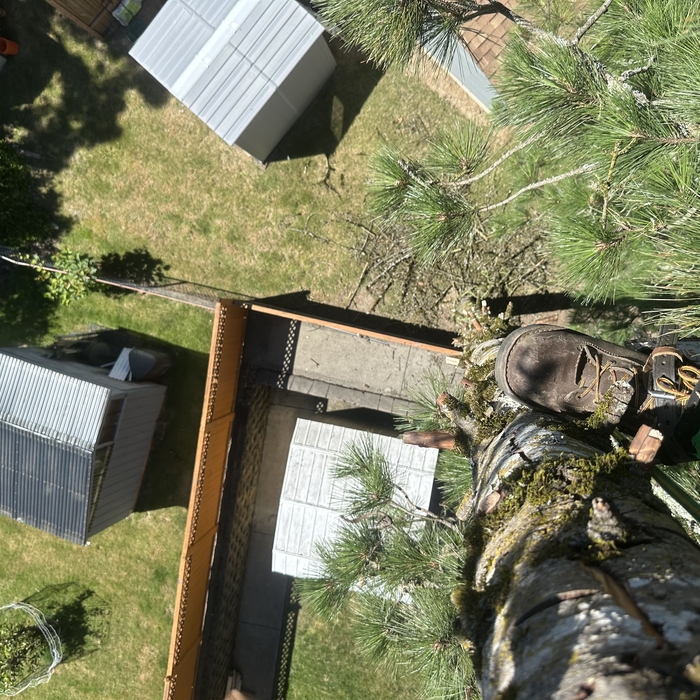 Removal and trimming