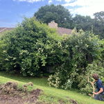 Additional Photos