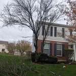 Tree Service Project