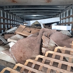 Packing truck