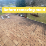 Roof cleanings!