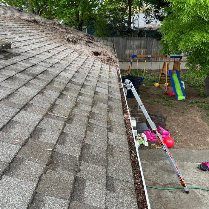 Roof cleaning moss removal and gutter clean