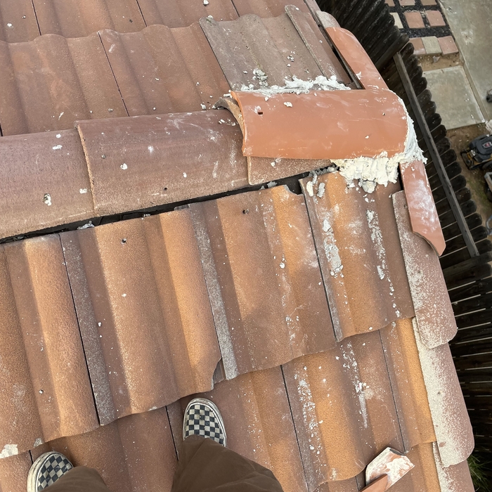 Roofing Project