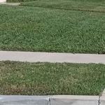 Happy lawn = Happy customer