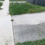 Making that lawn happy again