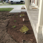 Additional Photos