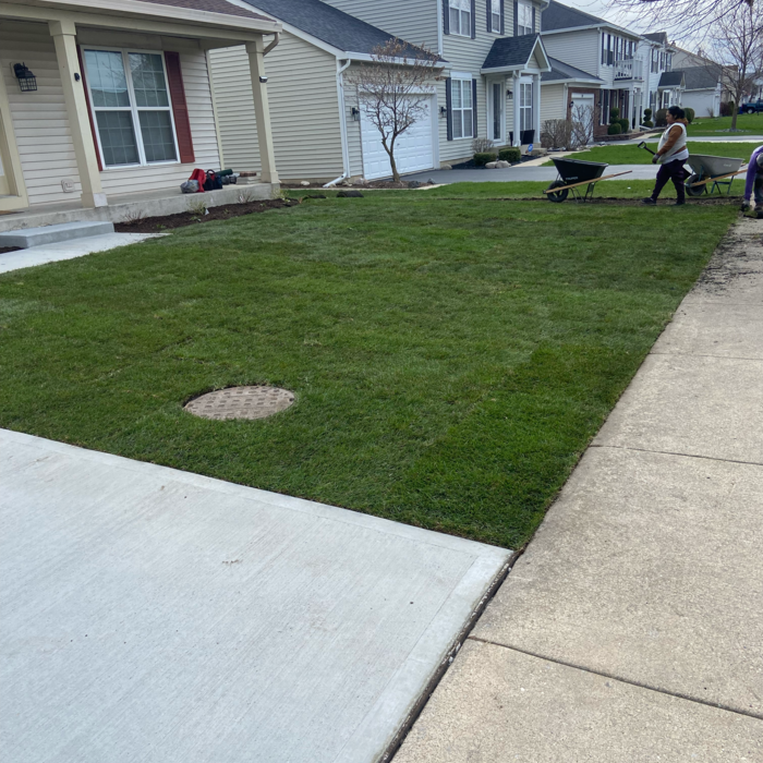 Additional Photos