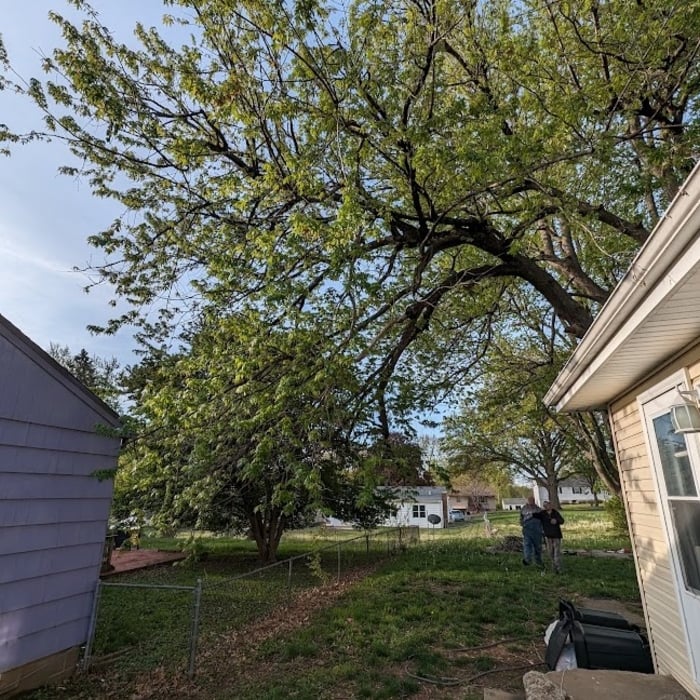 Before starting on front lead over hanging neighbors fence to the left.