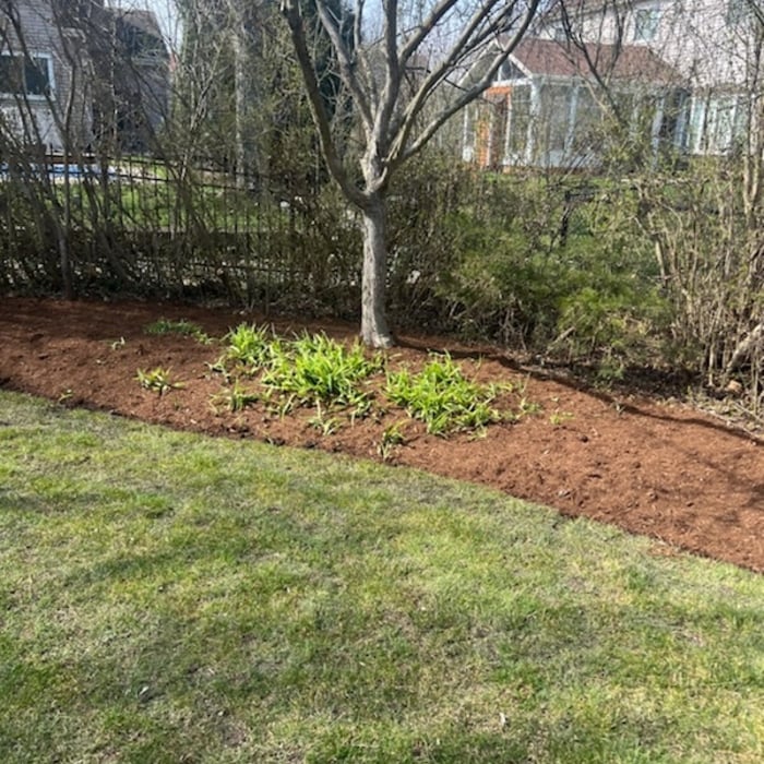 Additional Photos