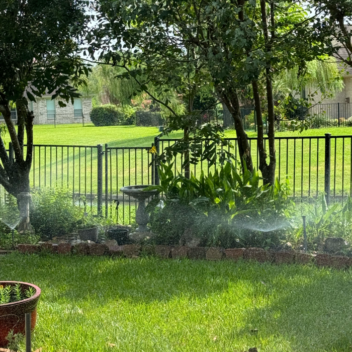Additional Photos