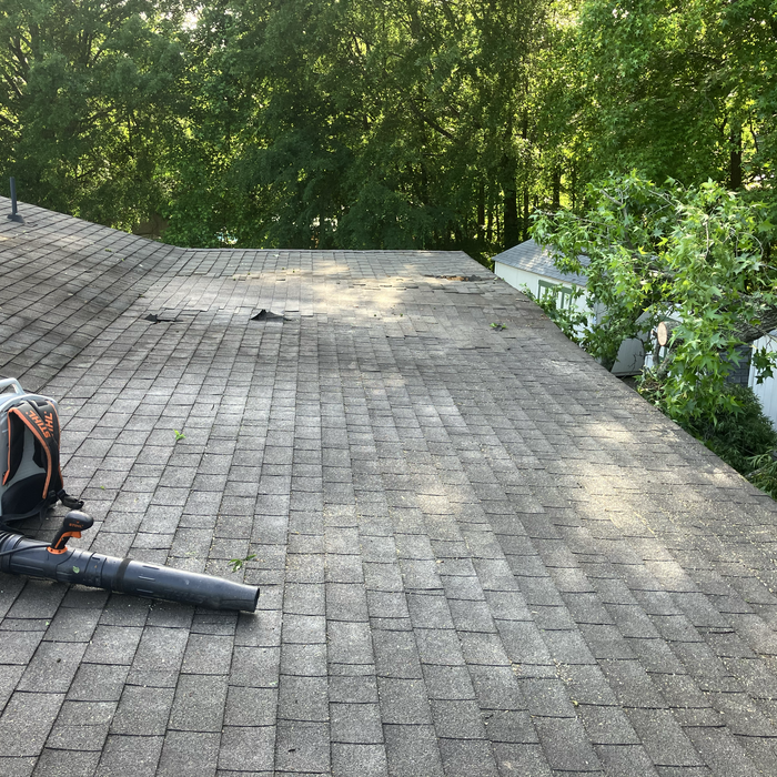 Additional Photos
