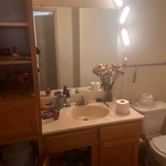 Bathroom Before