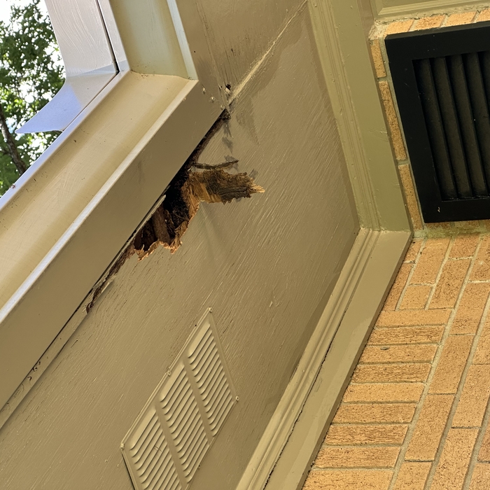 Rotten wood repair