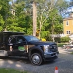 Tree Service Project