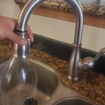 New Working Faucet -shield spray option