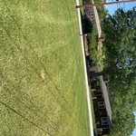Lawns