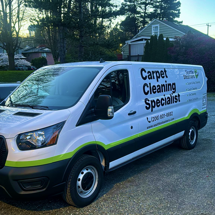 Carpet Cleaning Project