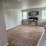 Carpet Cleaning Project