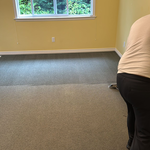 Carpet Cleaning Project