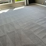 Carpet Cleaning Project