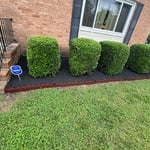 Want to see some more of our work? We are always ready to show our best in every project we undertake! ?✨
Whether it's tree pruning, stump removal or any other gardening service, our team is here to transform your outdoor space into a true paradise. Check out some of our interventions and get inspired to renew your garden! ??