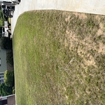 Large lot and pool area
