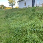Country Church