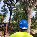 Henry Doorly Zoo