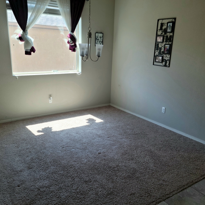 Carpet before demo.