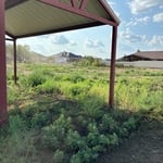 Landscaping Project