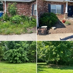 Before and After pics