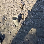 Dryer Vent Cleaning Project