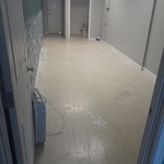 Salon Project