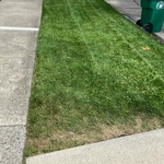 Front yard strip (after)
