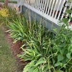 Landscaping Project