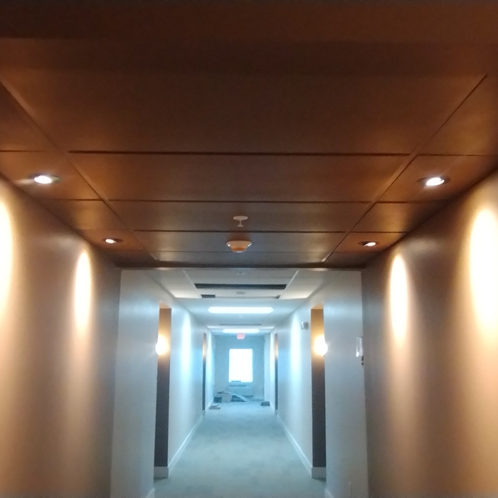 Drop ceiling lights